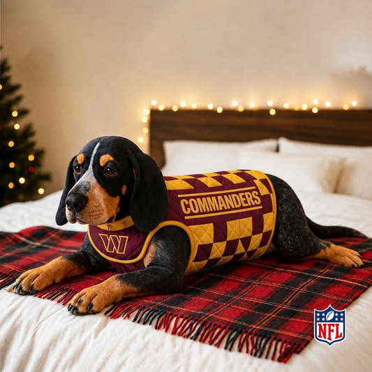 WAS x NFL LUXURIOUS PLUSH PILLOW